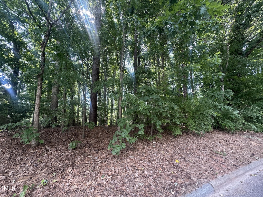 1500 Ridgeway Ave, Durham, NC 27701 - photo 2