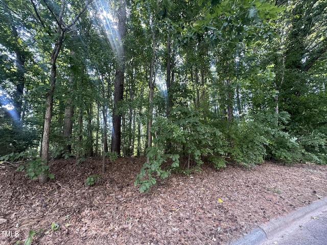 1500 Ridgeway Ave, Durham, NC 27701 - photo 2
