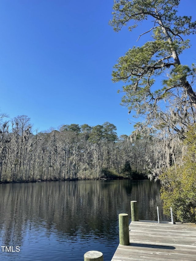 909 Taberna Cir, New Bern, NC 28562 - photo 10