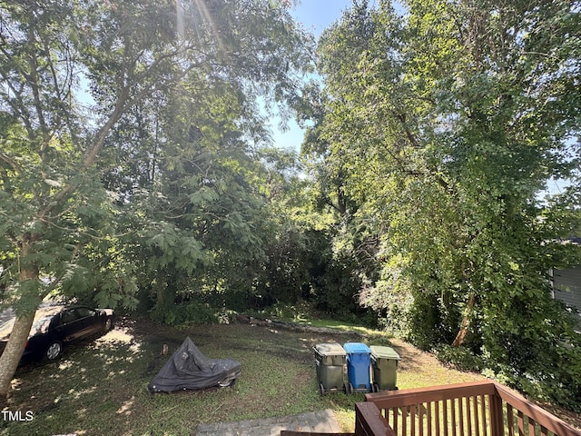 2907 S S Roxboro St, Durham, NC 27707 - view of yard