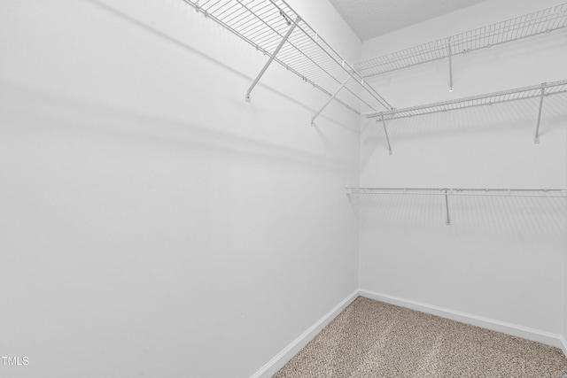 3104 Eric St, Willow Springs, NC 27592 - photo 23