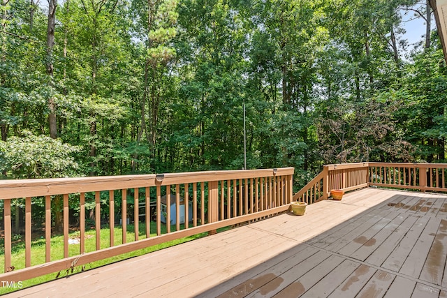 3104 Eric St, Willow Springs, NC 27592 - photo 29