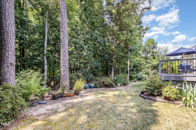 5508 Sutteridge Ct, Durham, NC 27713 - photo 29