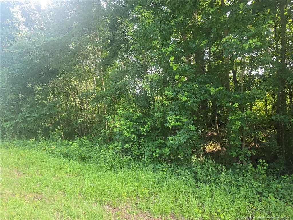 Rockfish Rd, Raeford, NC 28376 - photo 1