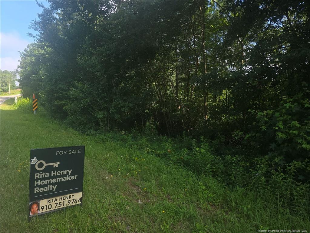 Rockfish Rd, Raeford, NC 28376 - photo 2