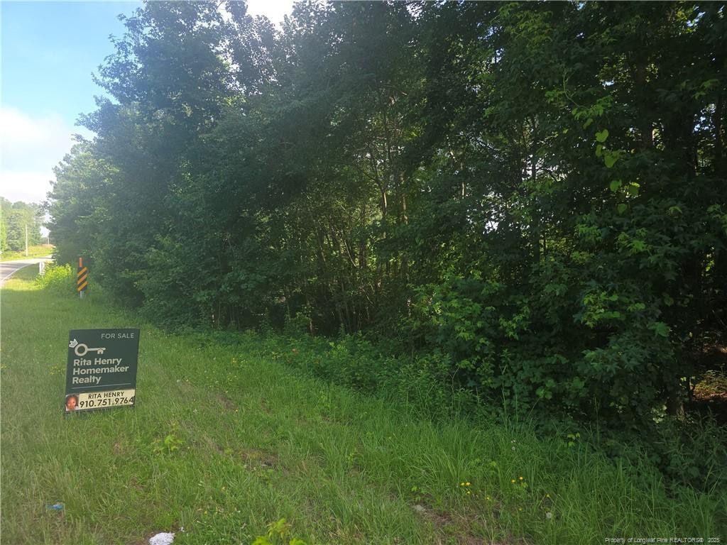 Rockfish Rd, Raeford, NC 28376 - photo 3