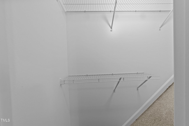 1035 High Lake Ct, Raleigh, NC 27606 - spacious closet with carpet floors