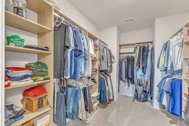 1021 Clove Pine Dr, Knightdale, NC 27545 - spacious closet with carpet flooring