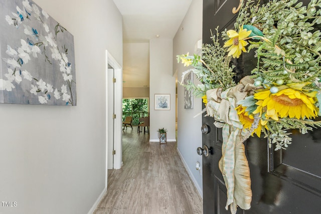 3050 Trailwood Pines Ln Unit 303, Raleigh, NC 27603 - corridor with wood finished floors and baseboards