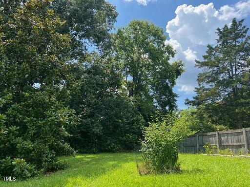 2709 Shenandoah Ave, Durham, NC 27704 - photo 22