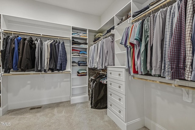 2098 Amalfi Pl, Apex, NC 27502 - walk in closet with light carpet