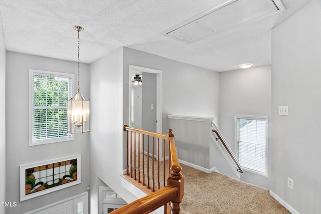 614 Park York Ln, Cary, NC 27519 - corridor with attic access, an upstairs landing, a textured ceiling, and carpet