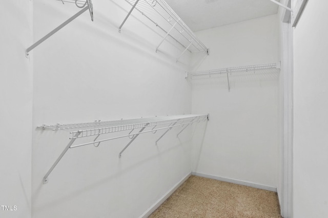 614 Park York Ln, Cary, NC 27519 - walk in closet with light colored carpet