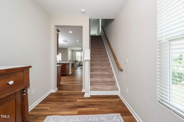 1410 Southpoint Trl, Durham, NC 27713 - photo 14