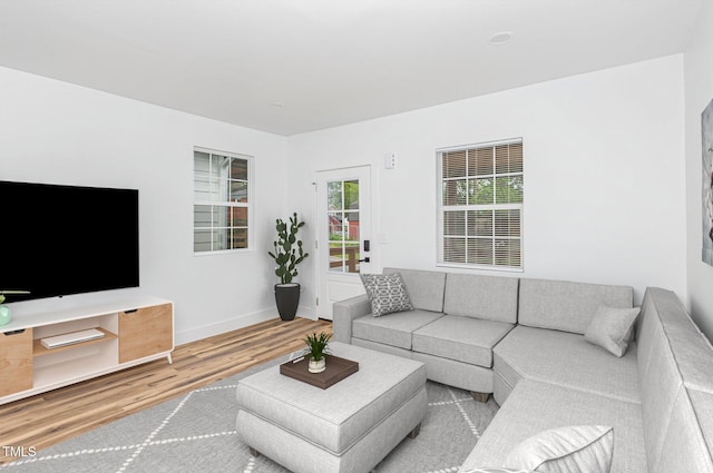 15 Saint Augustine Ave, Raleigh, NC 27610 - photo 5