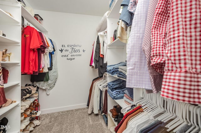 1405 Currituck Ave, Dunn, NC 28334 - walk in closet with carpet floors