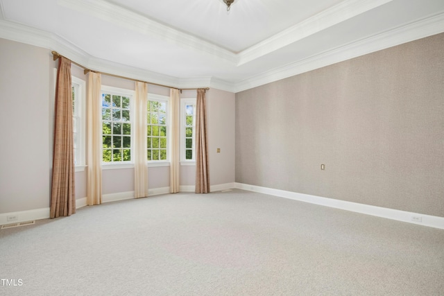 4137 Gardenlake Dr, Raleigh, NC 27612 - empty room with carpet, crown molding, and a raised ceiling