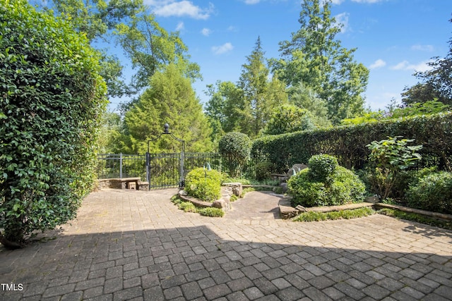 4137 Gardenlake Dr, Raleigh, NC 27612 - view of patio