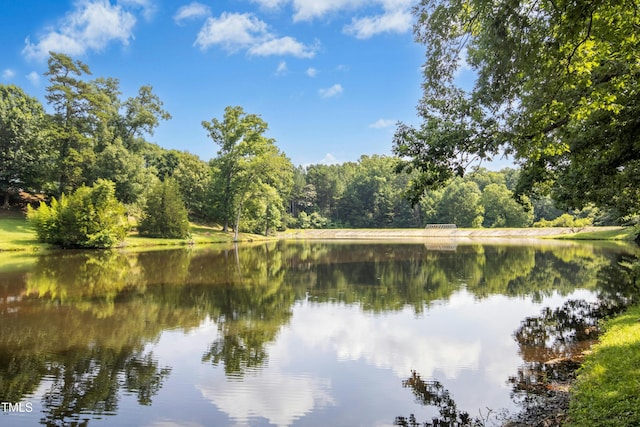 4137 Gardenlake Dr, Raleigh, NC 27612 - water view with a heavily wooded area