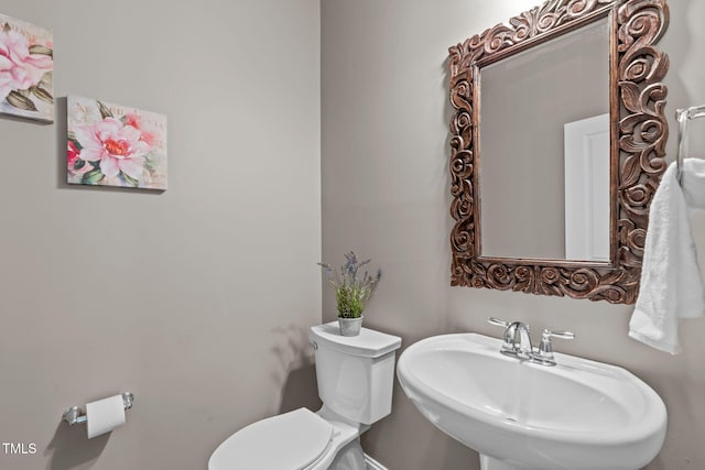 113 Willow View Ln, Apex, NC 27539 - bathroom with a sink and toilet