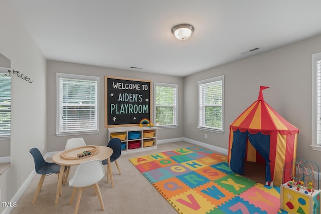 113 Willow View Ln, Apex, NC 27539 - recreation room featuring carpet flooring