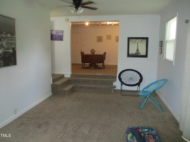 1229 Beverly Dr, Raleigh, NC 27610 - photo 14