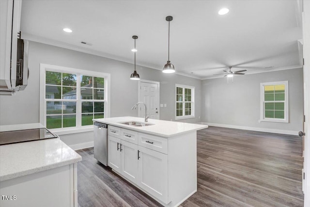1307 S 14th St, Lillington, NC 27546 - kitchen featuring dishwasher, ornamental molding, white cabinets, plenty of natural light, and dark wood-type flooring