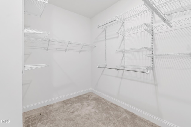6109 Oak Passage Dr, Raleigh, NC 27603 - spacious closet featuring carpet floors