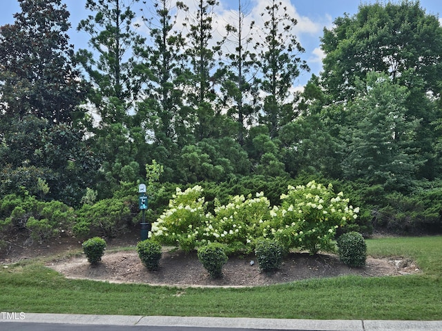 121 Brentfield Loop, Morrisville, NC 27560 - view of grassy yard