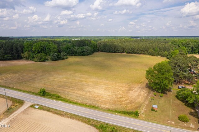 1753 Eagle Rock Rd, Wendell, NC 27591 - photo 17