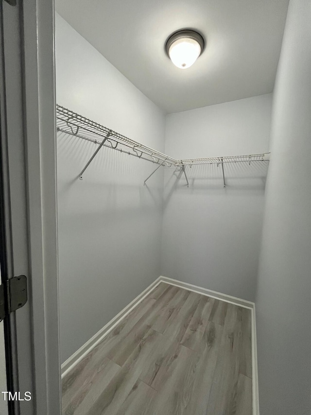 8836 Thornton Garden Ln, Raleigh, NC 27616 - walk in closet with wood finished floors