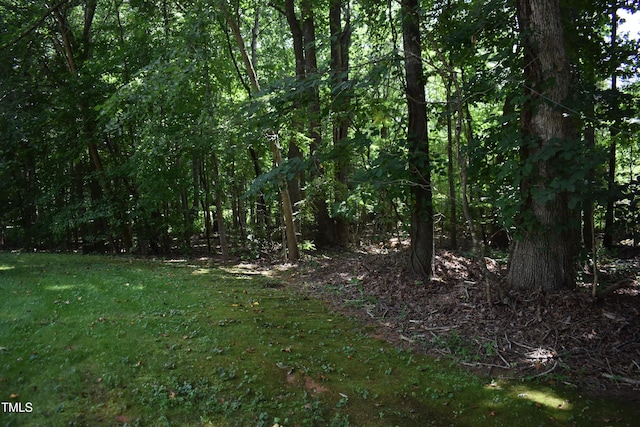 9 Pinecourt Dr, Siler City, NC 27344 - view of tree filled area
