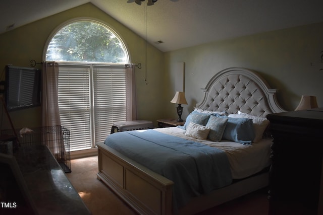 9 Pinecourt Dr, Siler City, NC 27344 - bedroom featuring vaulted ceiling
