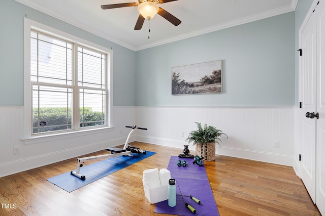 1013 Shasta Daisy Dr, Wake Forest, NC 27587 - exercise area featuring a ceiling fan, a wainscoted wall, wood finished floors, and ornamental molding