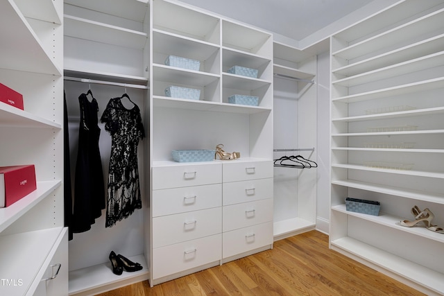 1013 Shasta Daisy Dr, Wake Forest, NC 27587 - spacious closet with light wood-style floors