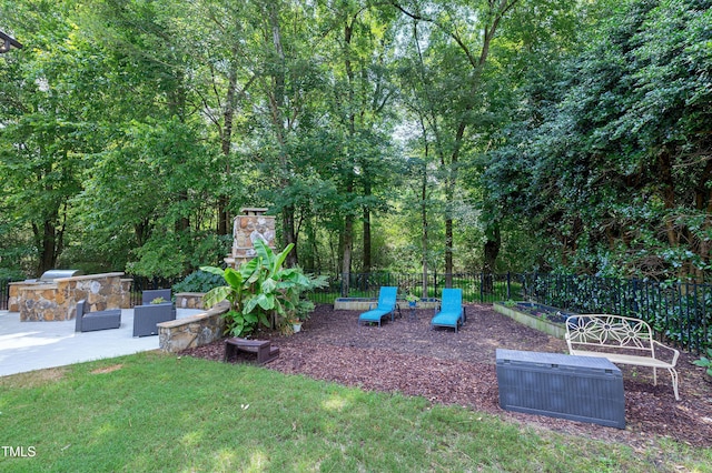 1013 Shasta Daisy Dr, Wake Forest, NC 27587 - view of yard featuring exterior kitchen and a patio