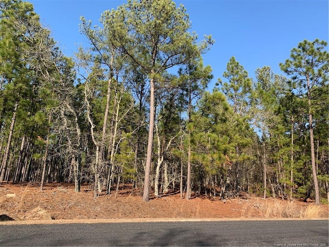 1124 Chicken Plant Rd, Aberdeen, NC 28315 - photo 1