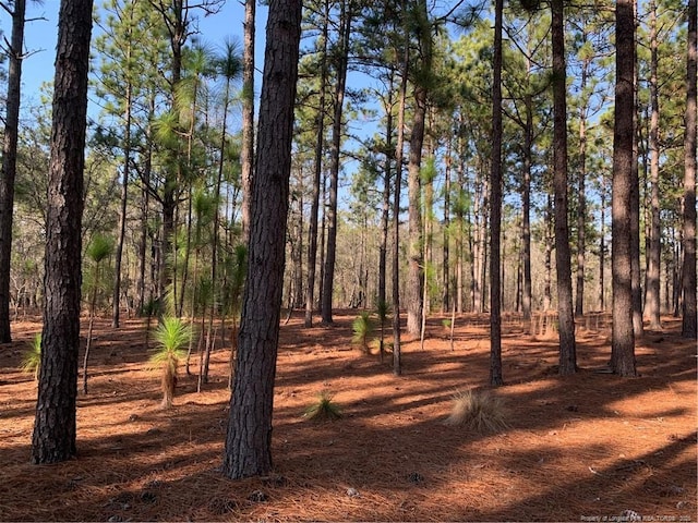 1124 Chicken Plant Rd, Aberdeen, NC 28315 - photo 3
