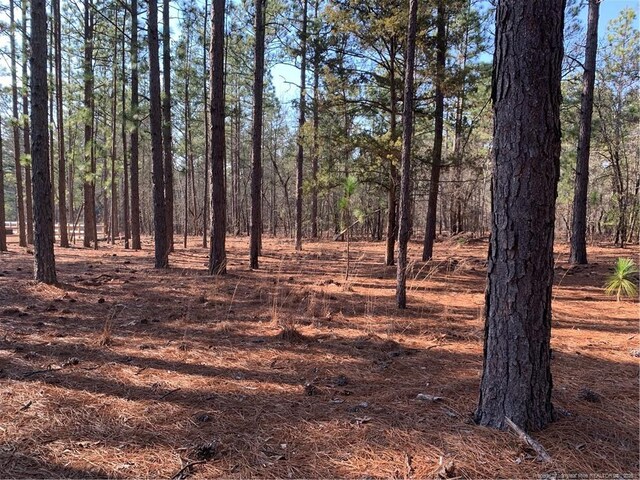 1124 Chicken Plant Rd, Aberdeen, NC 28315 - photo 5