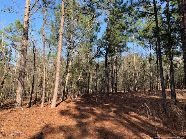1124 Chicken Plant Rd, Aberdeen, NC 28315 - photo 6