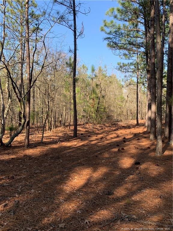 1124 Chicken Plant Rd, Aberdeen, NC 28315 - photo 8