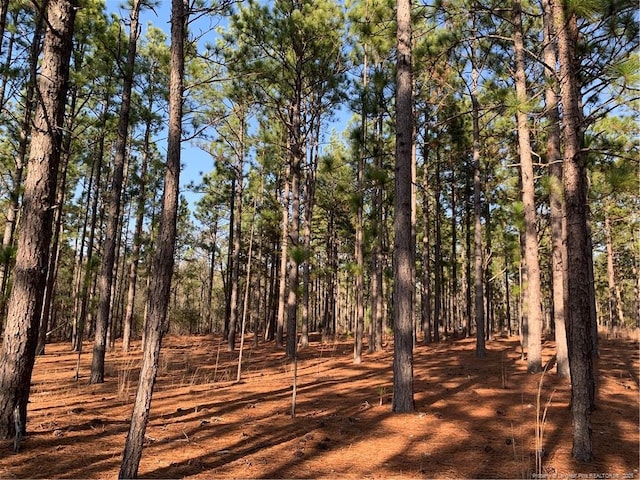 1124 Chicken Plant Rd, Aberdeen, NC 28315 - photo 10