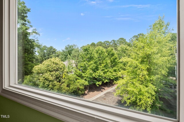 515 Hillsborough St Unit 111, Chapel Hill, NC 27514 - photo 33