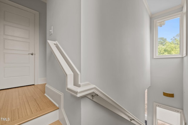 515 Hillsborough St Unit 111, Chapel Hill, NC 27514 - photo 23