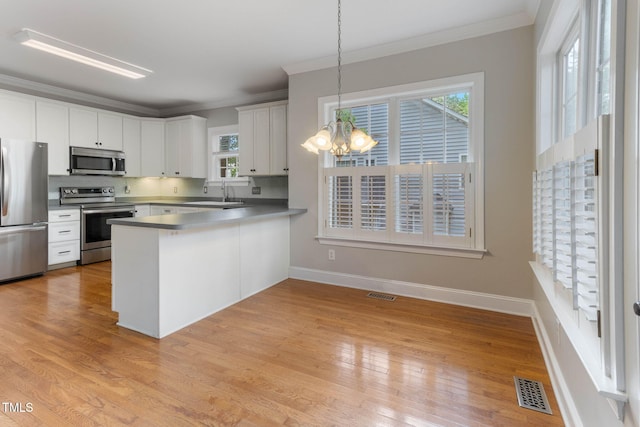 8508 Parlange Woods Ln, Wake Forest, NC 27587 - kitchen featuring appliances with stainless steel finishes, ornamental molding, a chandelier, light wood finished floors, and pendant lighting