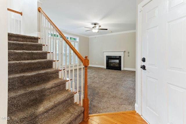 8508 Parlange Woods Ln, Wake Forest, NC 27587 - stairs with a ceiling fan, a glass covered fireplace, ornamental molding, and carpet