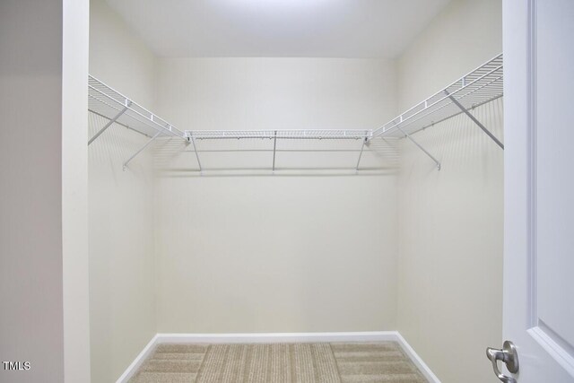 21 Intuition Cir, Durham, NC 27705 - walk in closet featuring carpet