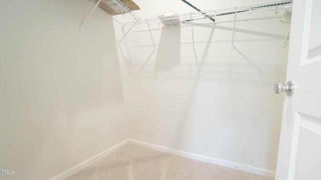 103 Liam St Unit 108, Clayton, NC 27520 - walk in closet featuring carpet