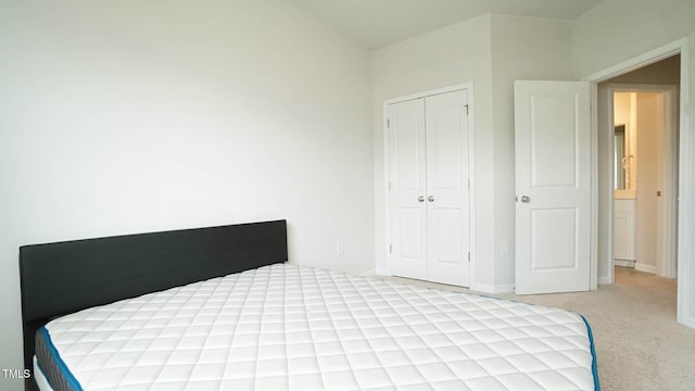 103 Liam St Unit 108, Clayton, NC 27520 - bedroom featuring light carpet and a closet
