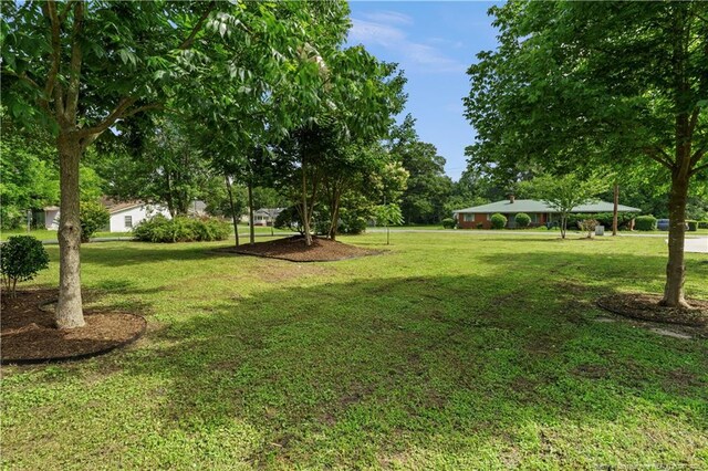 705 Bullard St, Roseboro, NC 28382 - photo 6